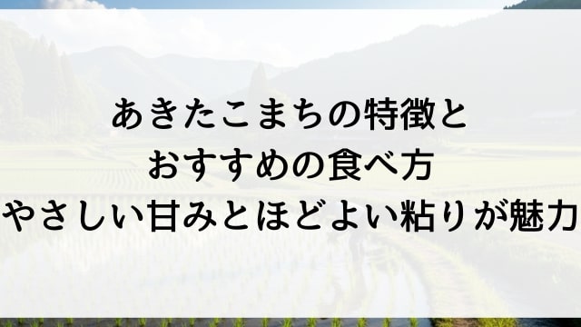 あきたこまちの特徴とおすすめの食べ方【やさしい甘みとほどよい粘りが魅力】