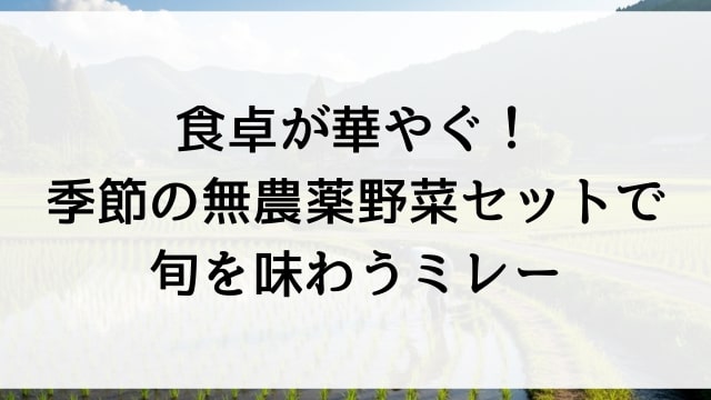 食卓が華やぐ！季節の無農薬野菜セットで旬を味わうミレー