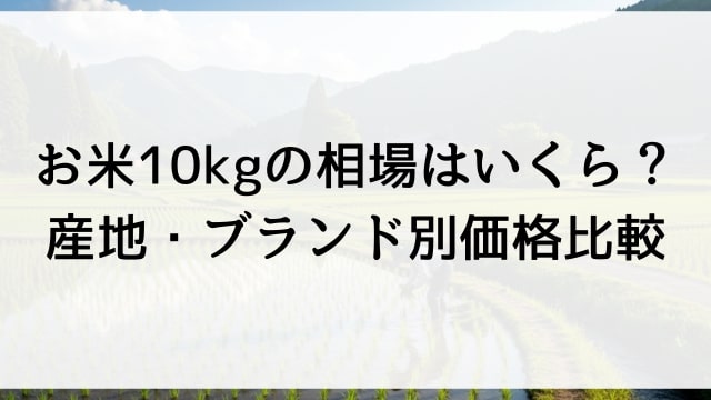 お米10kgの相場はいくら？産地・ブランド別価格比較