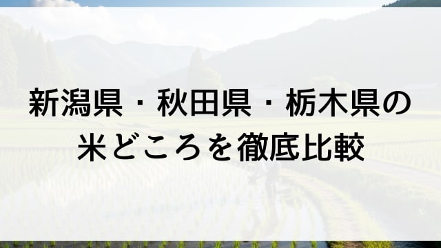 新潟県・秋田県・栃木県の米どころを徹底比較