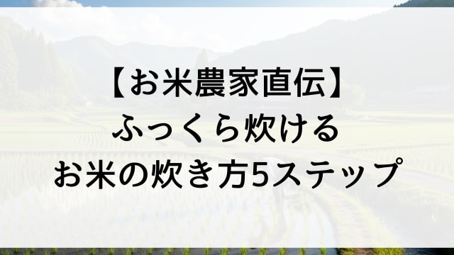 【お米農家直伝】ふっくら炊けるお米の炊き方5ステップ