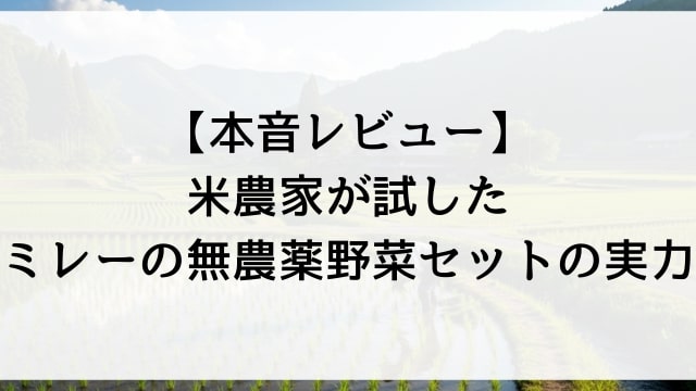 【本音レビュー】米農家が試したミレーの無農薬野菜セットの実力