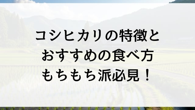 コシヒカリの特徴とおすすめの食べ方【もちもち派必見！】