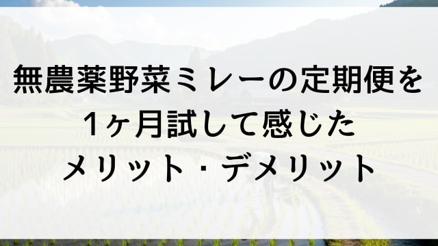 無農薬野菜ミレーの定期便を1ヶ月試して感じたメリット・デメリット