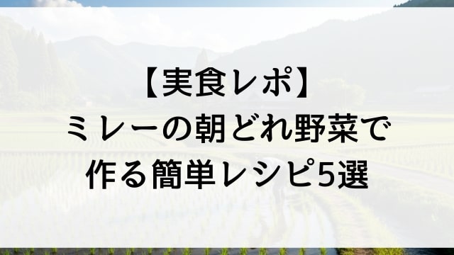 【実食レポ】ミレーの朝どれ野菜で作る簡単レシピ5選