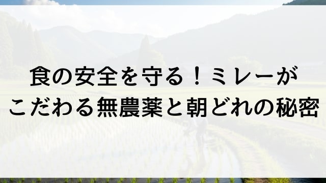 食の安全を守る！ミレーがこだわる無農薬と朝どれの秘密