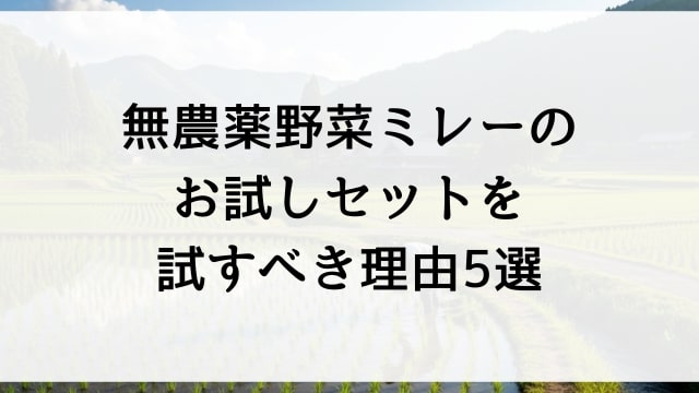 無農薬野菜ミレーのお試しセットを試すべき理由5選