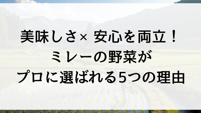 美味しさ×安心を両立！ミレーの野菜がプロに選ばれる5つの理由