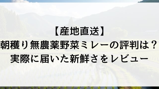 【産地直送】朝穫り無農薬野菜ミレーの評判は？実際に届いた新鮮さをレビュー