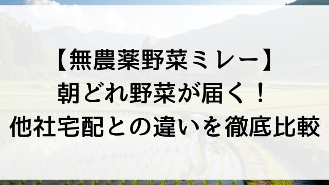 【無農薬野菜ミレー】朝どれ野菜が届く！他社宅配との違いを徹底比較