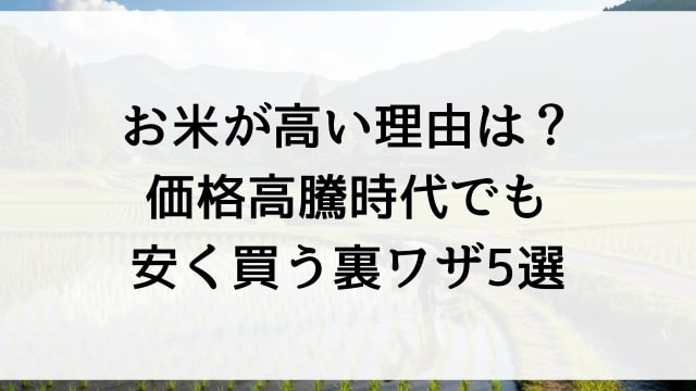 お米が高い理由は？価格高騰時代でも安く買う裏ワザ5選