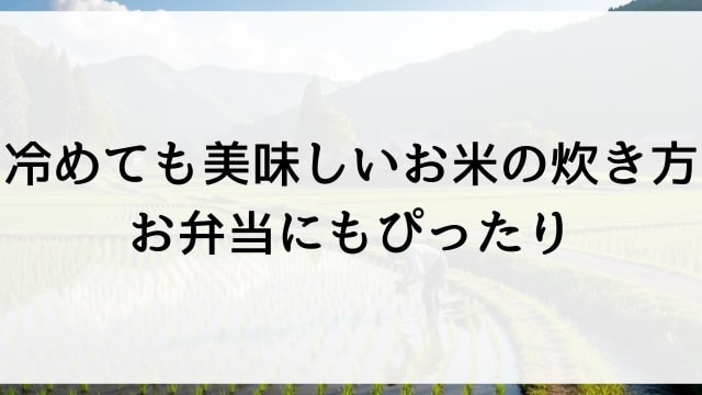 冷めても美味しいお米の炊き方【お弁当にもぴったり】
