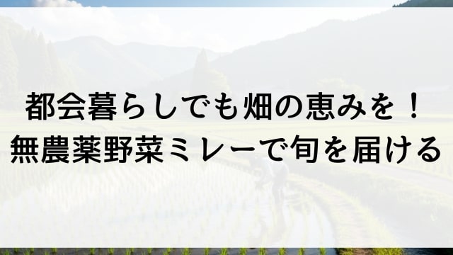 都会暮らしでも畑の恵みを！無農薬野菜ミレーで旬を届ける