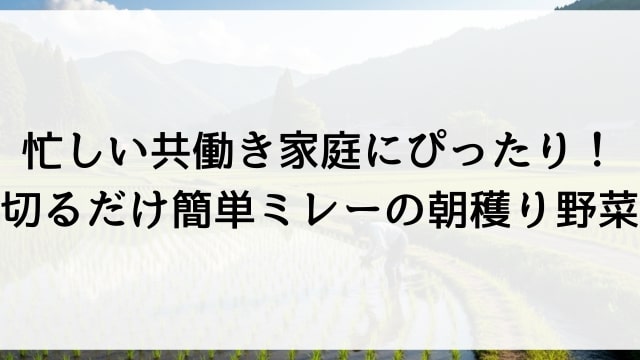 忙しい共働き家庭にぴったり！切るだけ簡単ミレーの朝穫り野菜