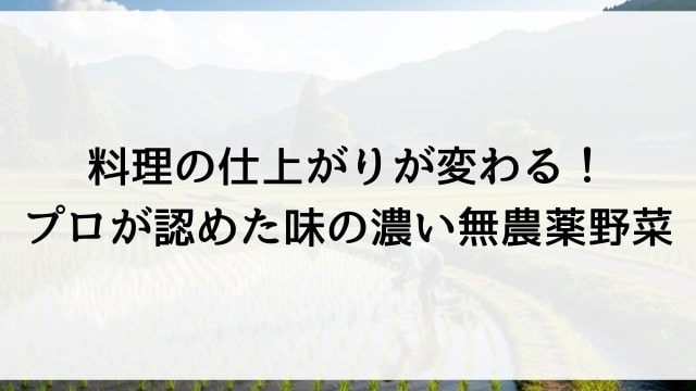 料理の仕上がりが変わる！プロが認めた味の濃い無農薬野菜
