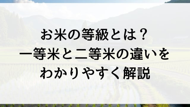 お米の等級とは？一等米と二等米の違いをわかりやすく解説