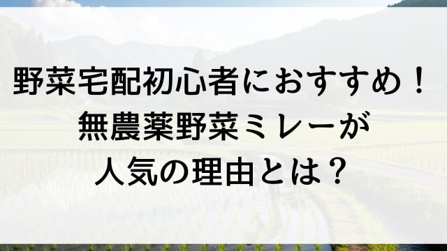 野菜宅配初心者におすすめ！無農薬野菜ミレーが人気の理由とは？