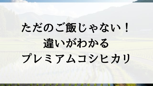 ただのご飯じゃない！違いがわかるプレミアムコシヒカリ