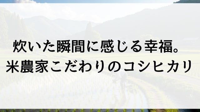 炊いた瞬間に感じる幸福！米農家こだわりのコシヒカリ
