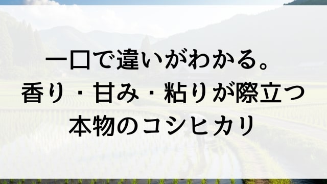 一口で違いがわかる！香り・甘み・粘りが際立つ本物のコシヒカリ