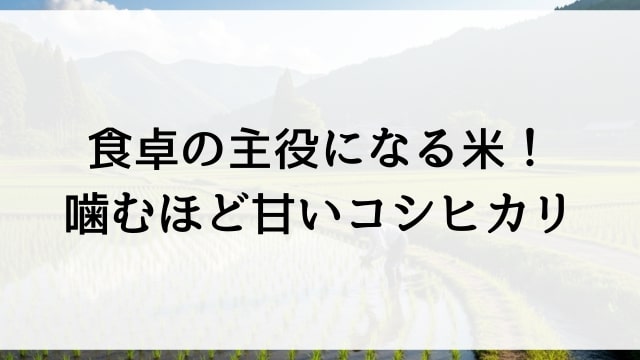 食卓の主役になる米！噛むほど甘いコシヒカリ