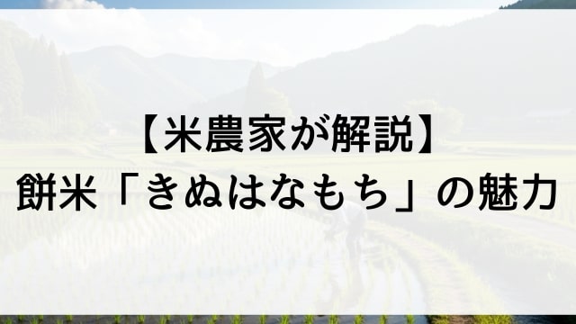【米農家が解説】餅米「きぬはなもち」の魅力！味・特徴・おすすめ調理法・購入ポイントまで徹底ガイド