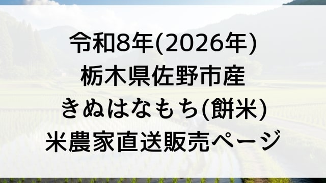 【販売予定】令和8年産餅米「きぬはなもち」どこで買える？予約できる？米農家直送で2026年栃木県佐野市で玄米30kg購入する方法