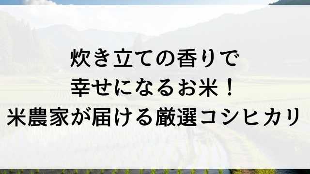 炊き立ての香りで幸せになるお米！米農家が届ける厳選コシヒカリ