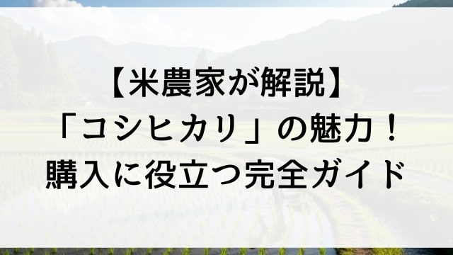 【米農家が解説】コシヒカリの魅力！人気No.1米を選ぶポイントや保存方法