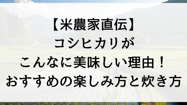 【米農家直伝】コシヒカリがこんなに美味しい理由！おすすめの楽しみ方と炊き方
