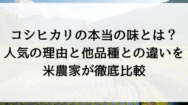 コシヒカリの本当の味とは？人気の理由と他品種との違いを米農家が徹底比較