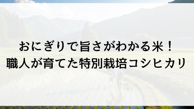 おにぎりで旨さがわかる米！職人が育てた特別栽培コシヒカリ