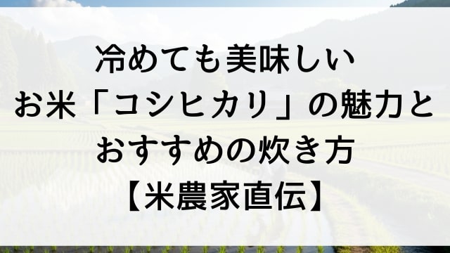 冷めても美味しいお米「コシヒカリ」の魅力とおすすめの炊き方【米農家直伝】