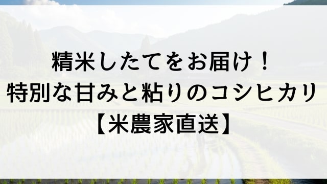 精米したてをお届け！特別な甘みと粘りのコシヒカリ【米農家直送】
