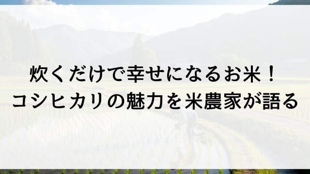 炊くだけで幸せになるお米！コシヒカリの魅力を米農家が語る