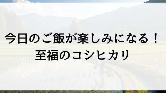 今日のご飯が楽しみになる！至福のコシヒカリ