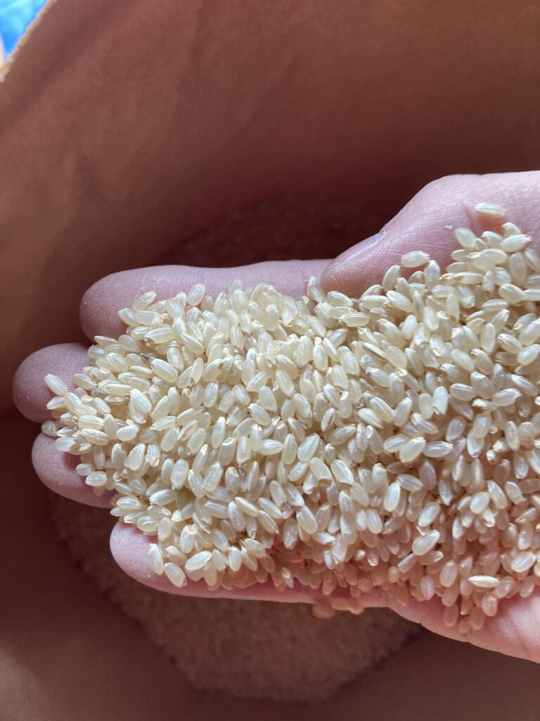 令和7年栃木県佐野市産ゆうだい21b