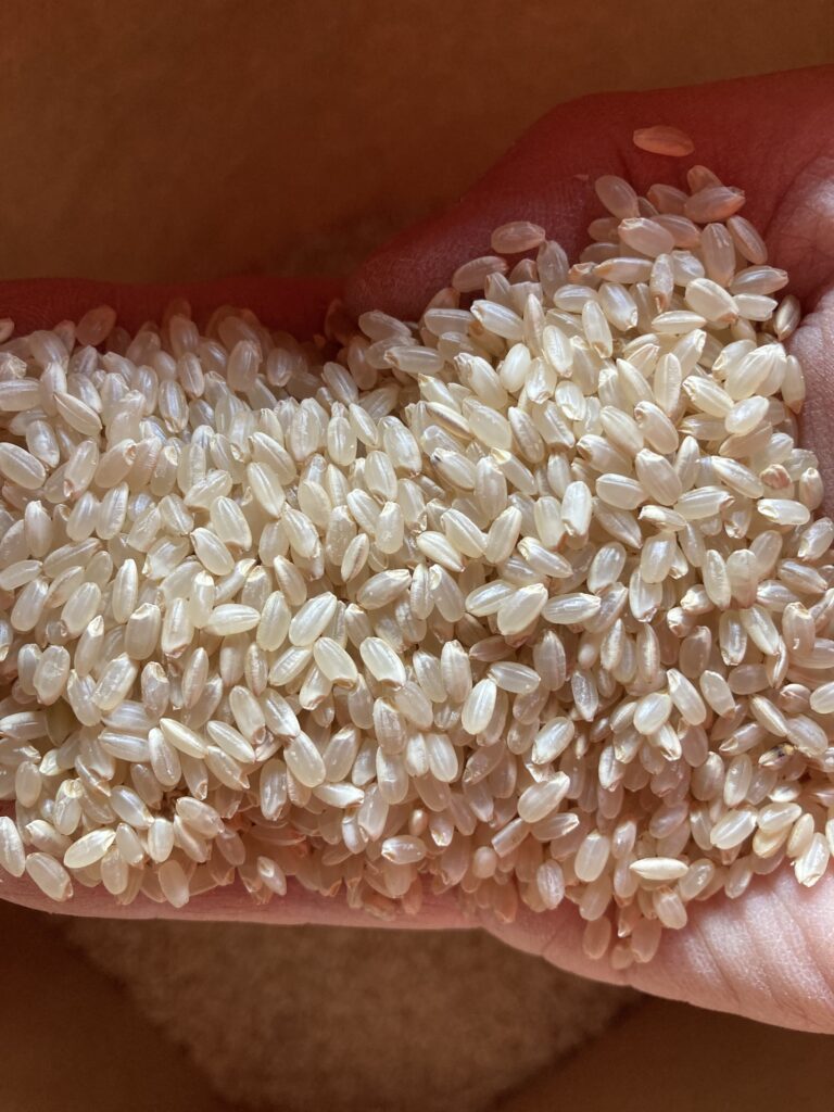 令和7年栃木県佐野市産ゆうだい21c