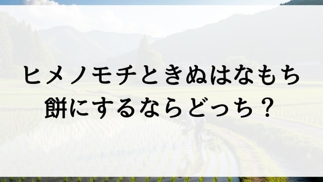 ヒメノモチときぬはなもち、餅にするならどっち？