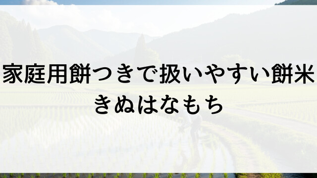 家庭用餅つきで扱いやすい餅米きぬはなもち【栃木県佐野市の米農家直送・直売】