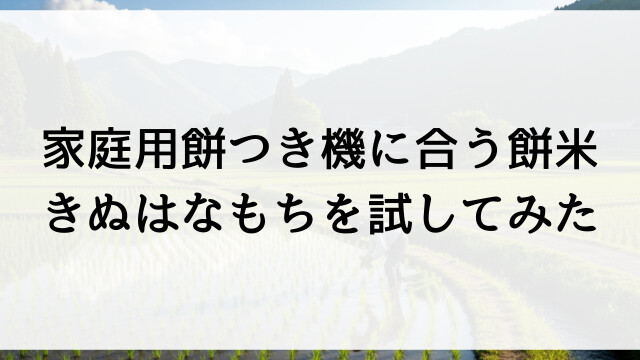 家庭用餅つき機に合う餅米？きぬはなもちを試してみた結果【栃木県佐野市の米農家直接販売】