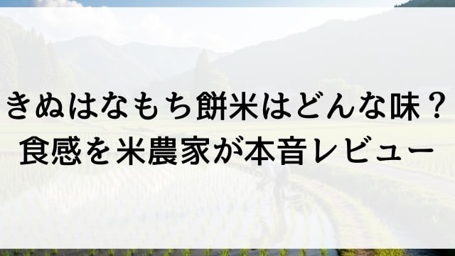 きぬはなもち餅米はどんな味？食感を米農家が本音レビュー