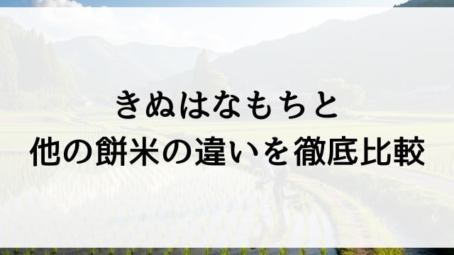 きぬはなもちと他の餅米の違いを徹底比較
