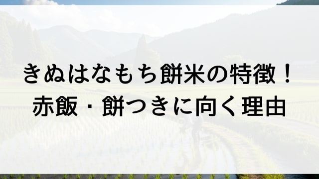 きぬはなもち餅米の特徴！赤飯・餅つきに向く理由