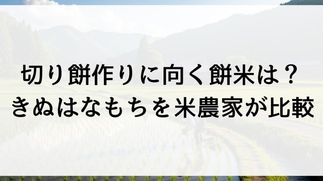 切り餅作りに向く餅米は？きぬはなもちを米農家が比較