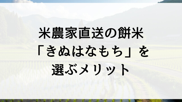 米農家直送の餅米「きぬはなもち」を選ぶメリット【栃木県佐野市産お米通販】