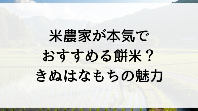 米農家が本気でおすすめる餅米？きぬはなもちの魅力【栃木県佐野市産米オンラインショップ】