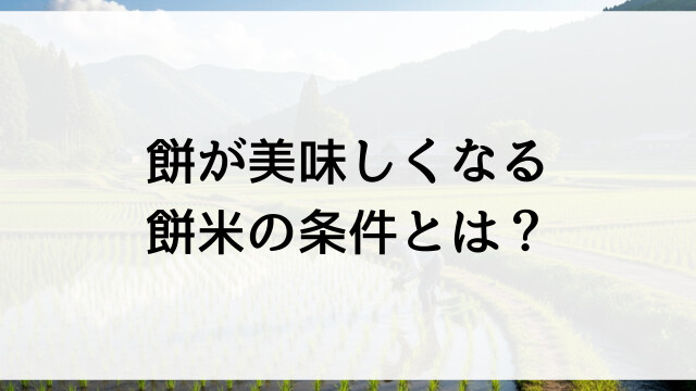 餅が美味しくなる餅米の条件とは？【栃木県佐野市産きぬはなもち直販・直売】