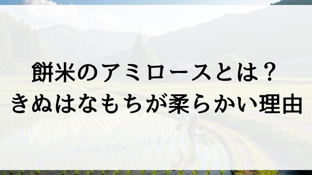餅米のアミロースとは？きぬはなもちが柔らかい理由【栃木県佐野市の米農家通販】