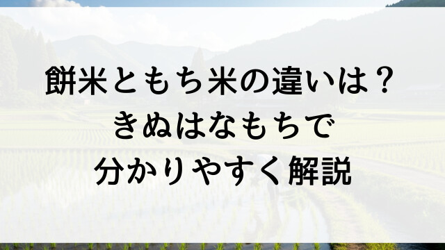 餅米ともち米の違いは？きぬはなもちで分かりやすく解説【栃木県佐野市の米農家オンラインショップ】